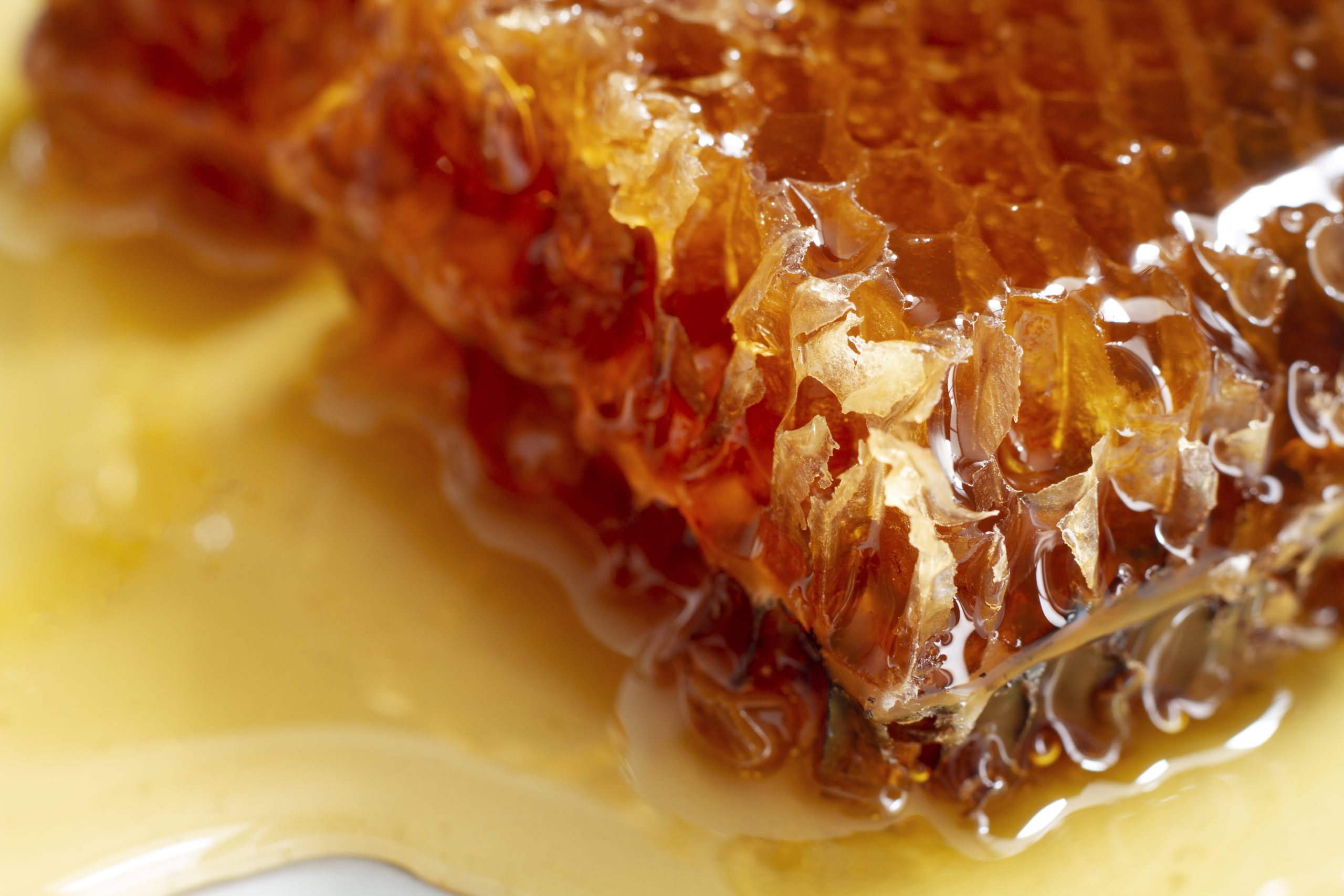 Premium Greek honey gifts from the Dakry Greek Honey Collection
